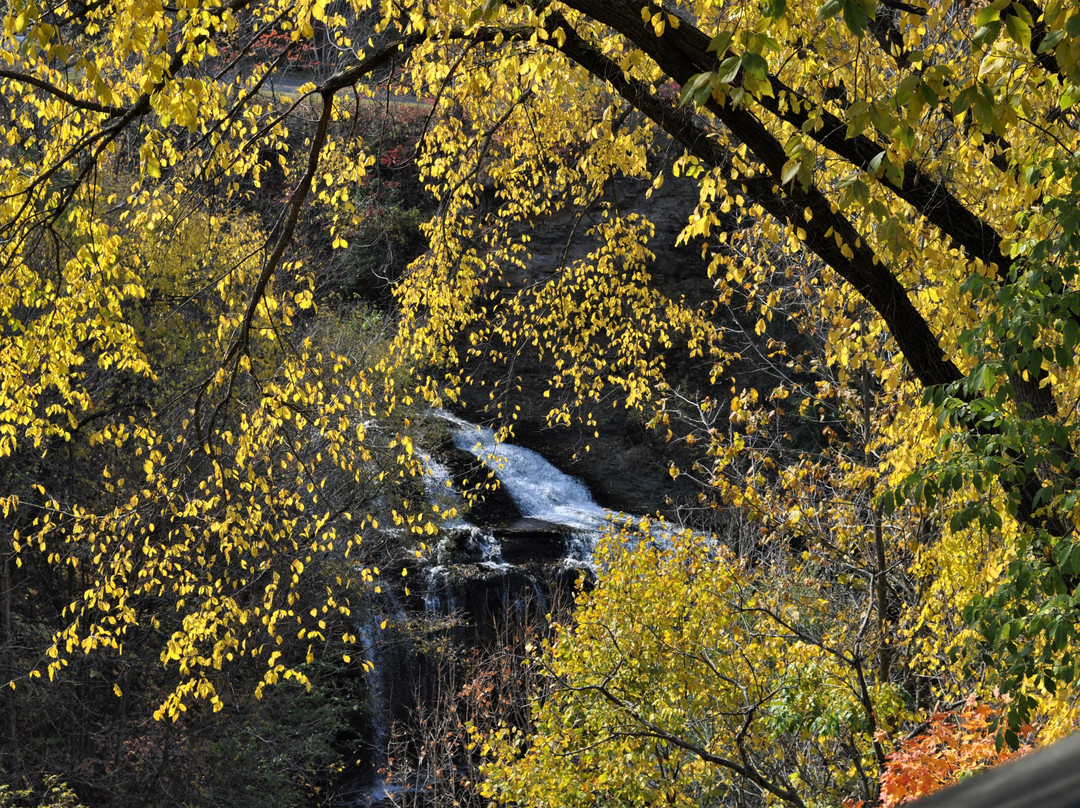 Cascade Falls景点图片