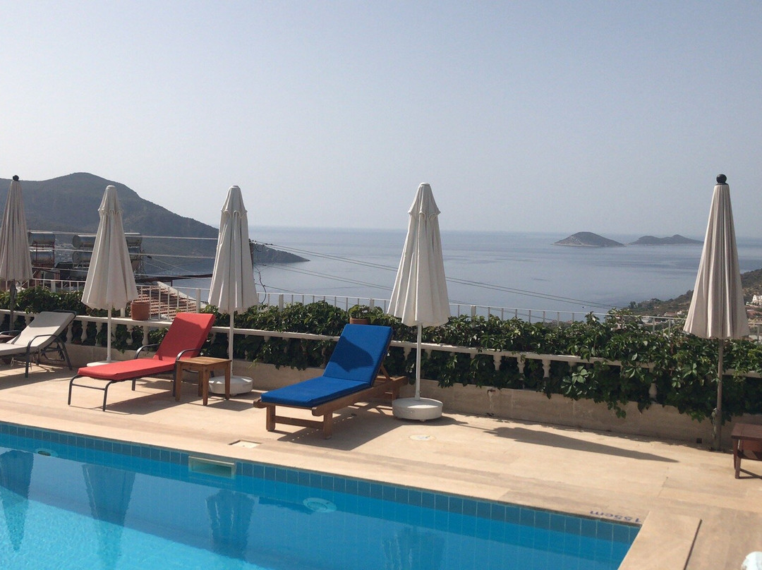 Lavender's Lodge Hotel主图