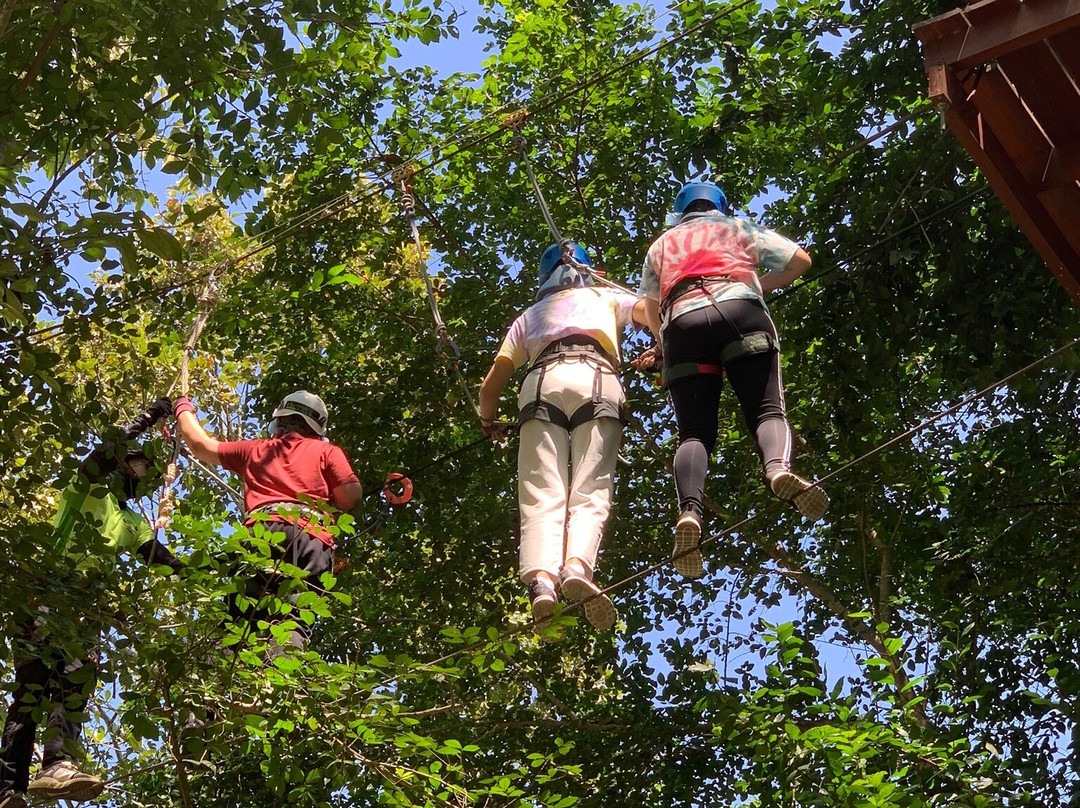 Tree Top Adventure Park-华欣必去景点