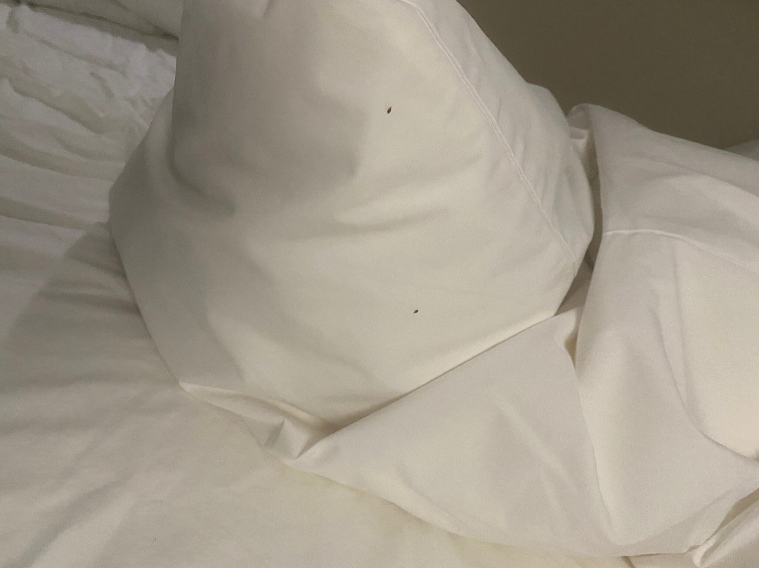 Best Western Plus Fergus Hotel主图