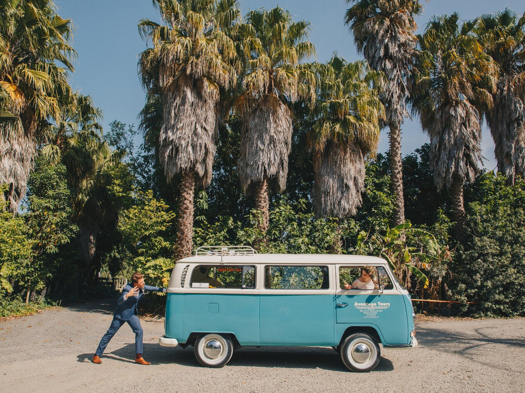 Avantogo Tours-纳皮尔必去景点