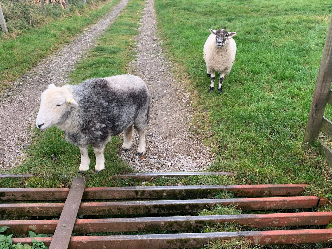 Low Branthwaites主图