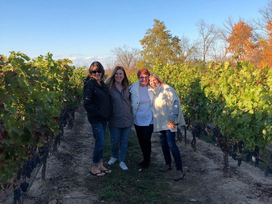 Kacaba Vineyards Winery-威兰德必去景点