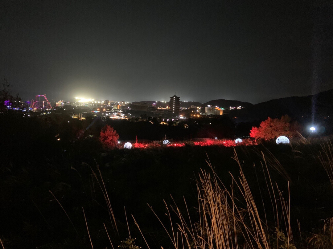 Gyeongju World Culture Expo Park-庆州市必去景点