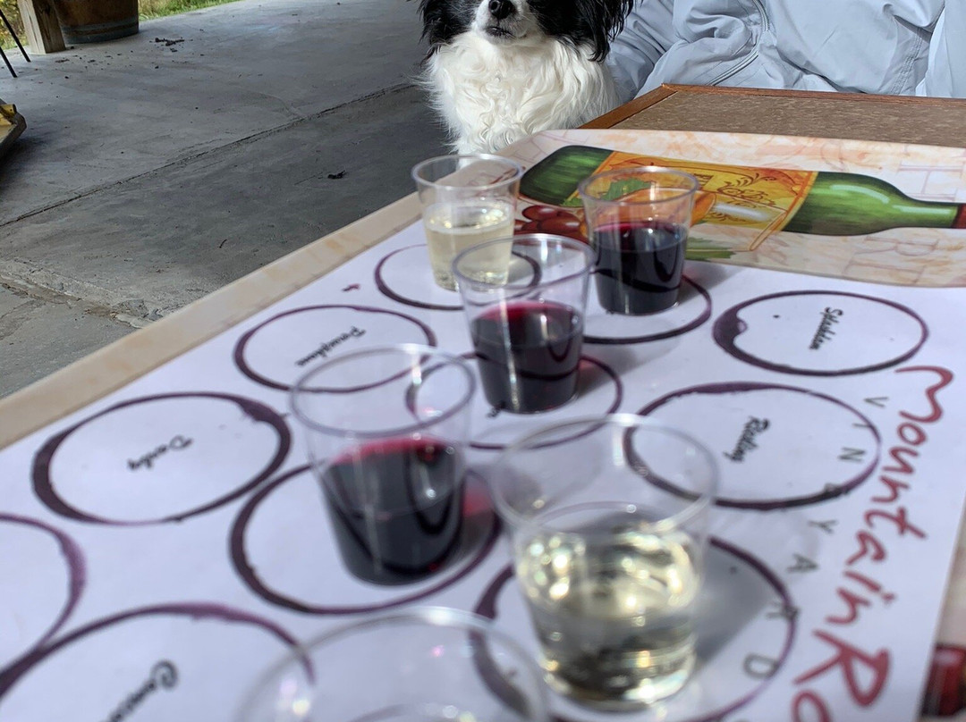 MountainRose Vineyards-Wise必去景点