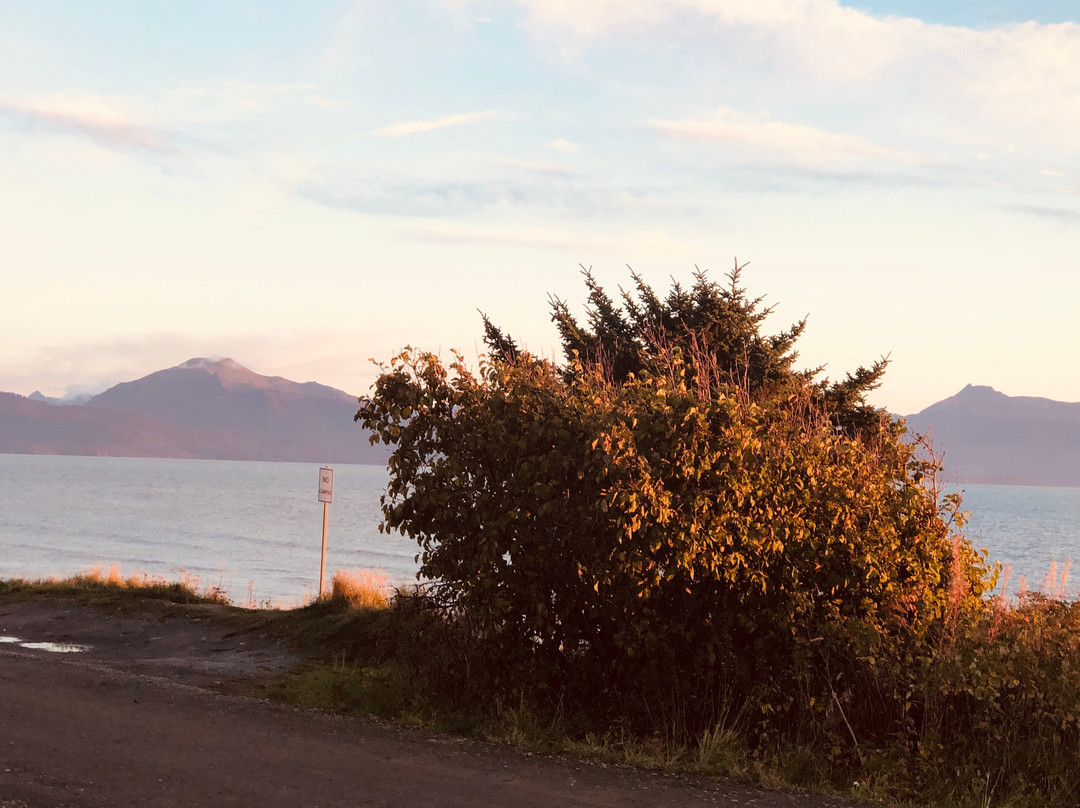 Driftwood Inn & Homer Seaside Lodges主图