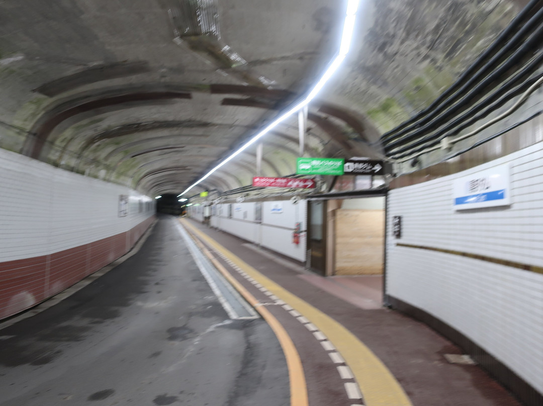 Kanden Tunnel Electric Bus-立山町必去景点