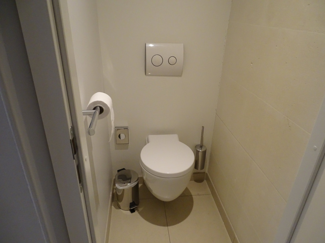 Best Western Plus Hotel Des Francs主图