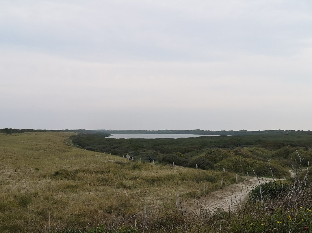 Hammersee-Juist必去景点