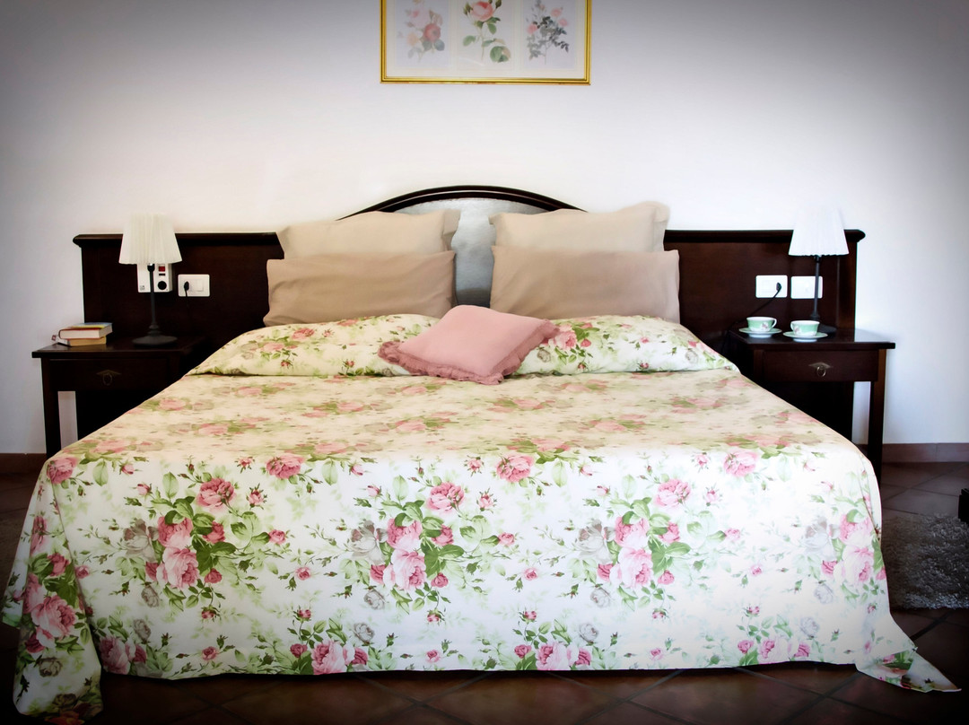 Le Case Del Merlo Turismo Rurale主图