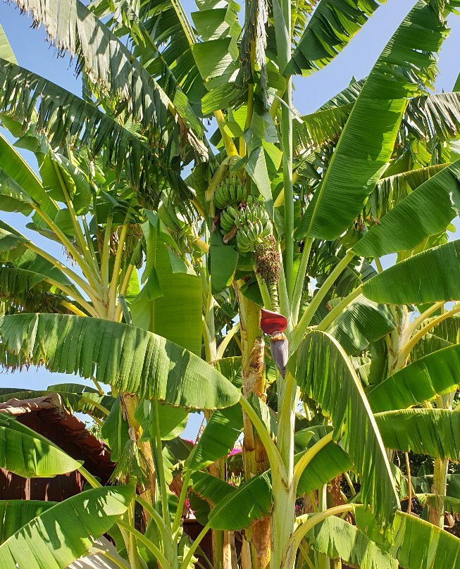 Bay View Hotel Apartments主图