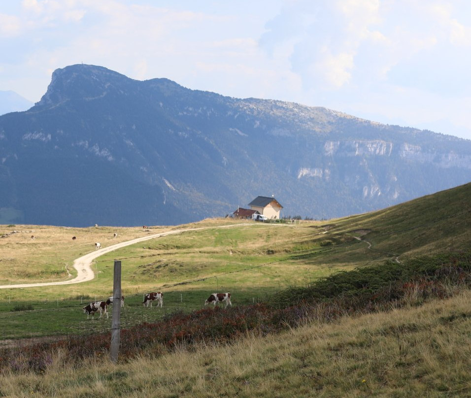 Le Plateau De La Moliere景点图片