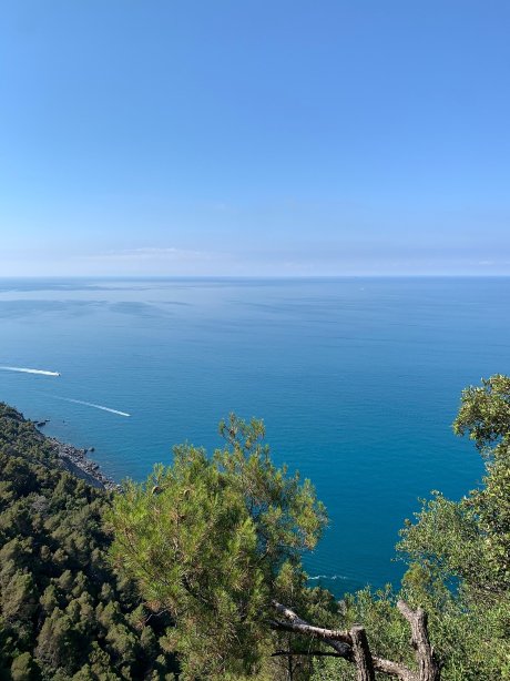 B&B Al Cavalluccio Marino-官方