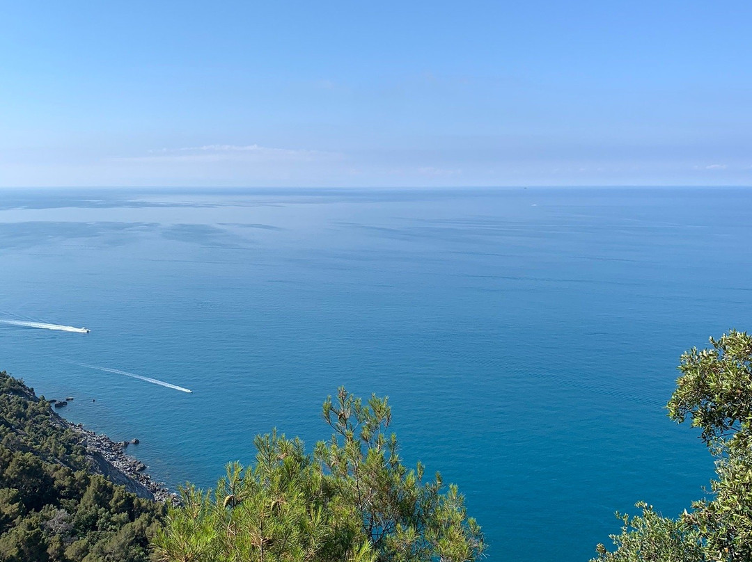 Cavalluccio Marino主图