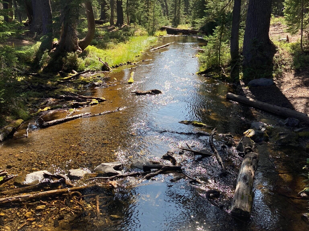 Falls Creek Trail to Green Lake-本德必去景点