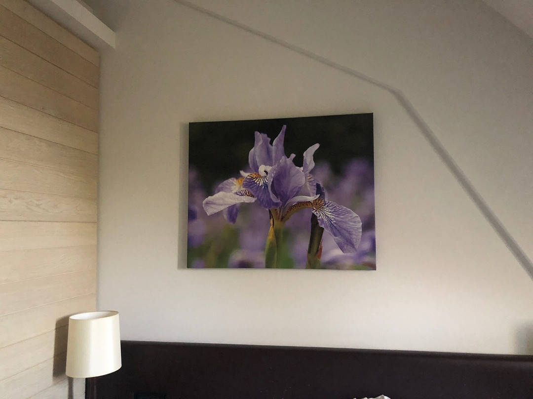 Alte Brauerei Mertingen主图