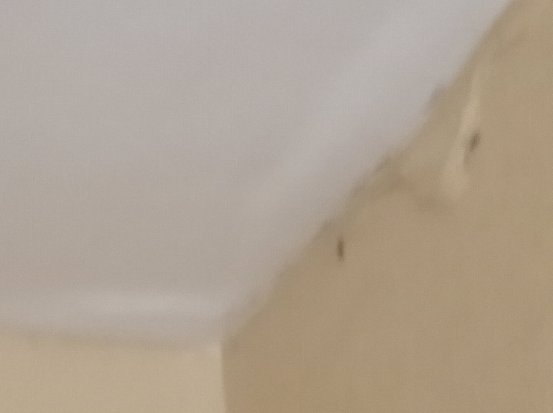 Quality Inn & Suites Lexington主图