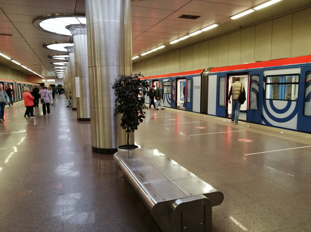 Kotelniki Metro Station景点图片