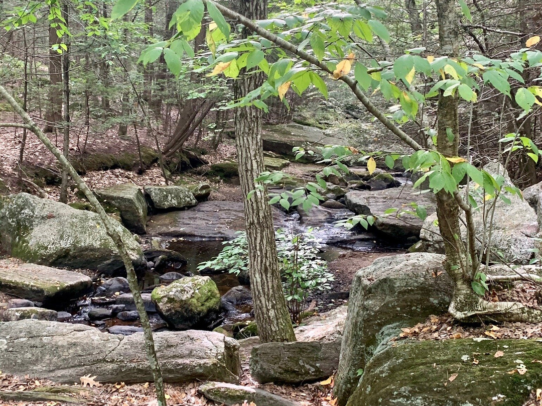 Enders Falls-Granby必去景点