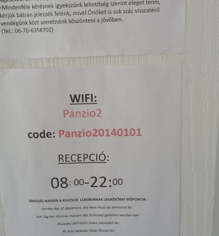 Fenyo Panzio主图