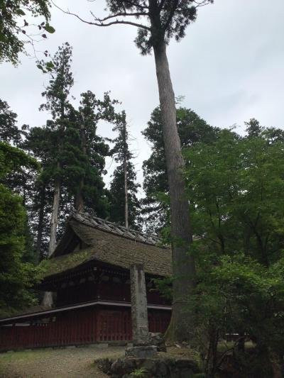 Takedera-饭能市必去景点