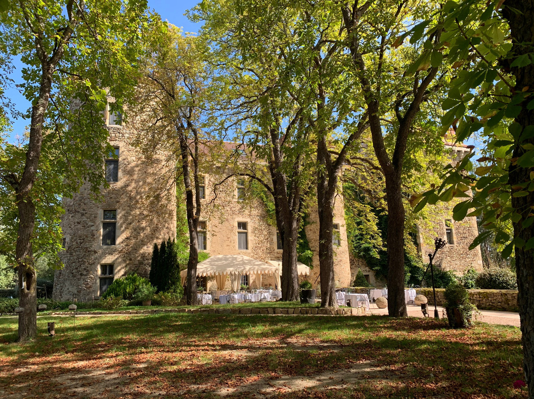 科迪纳特城堡酒店主图