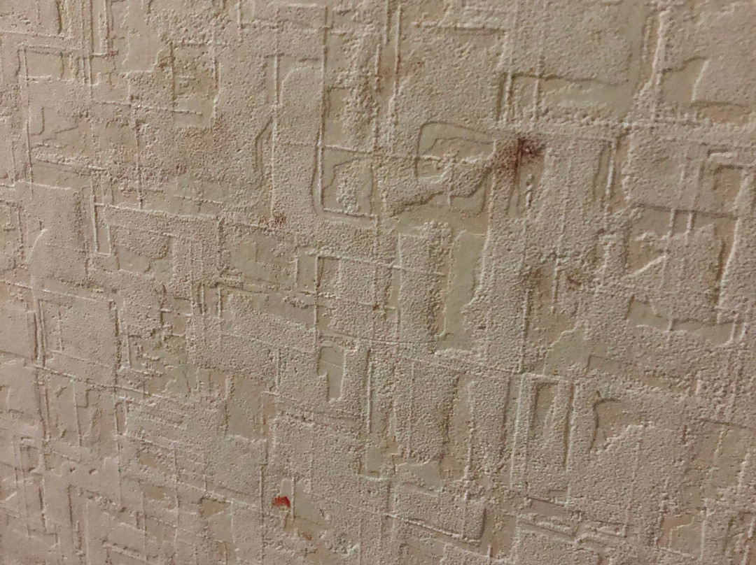 ANI na Severnoy主图