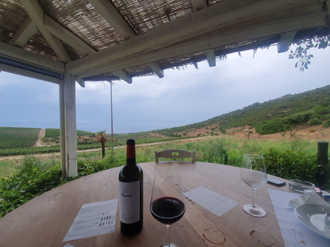 Tenuta Asinara Bistrot & Degustazione-Sorso必去景点
