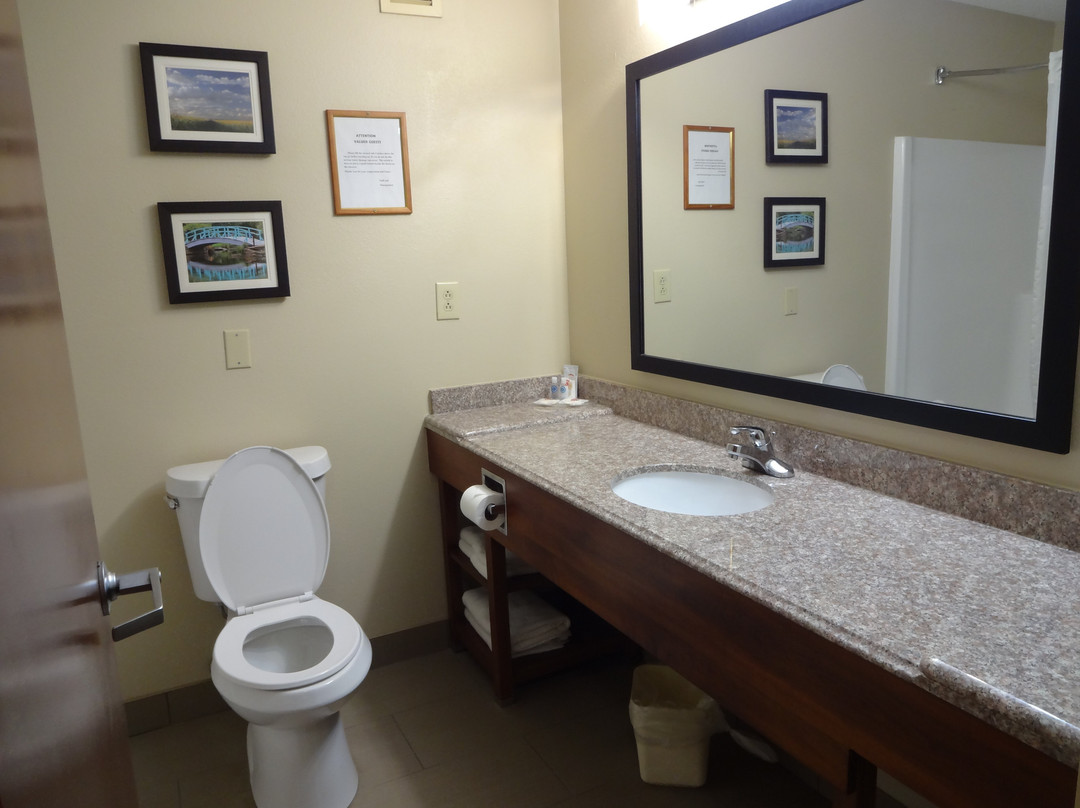 Comfort Suites主图