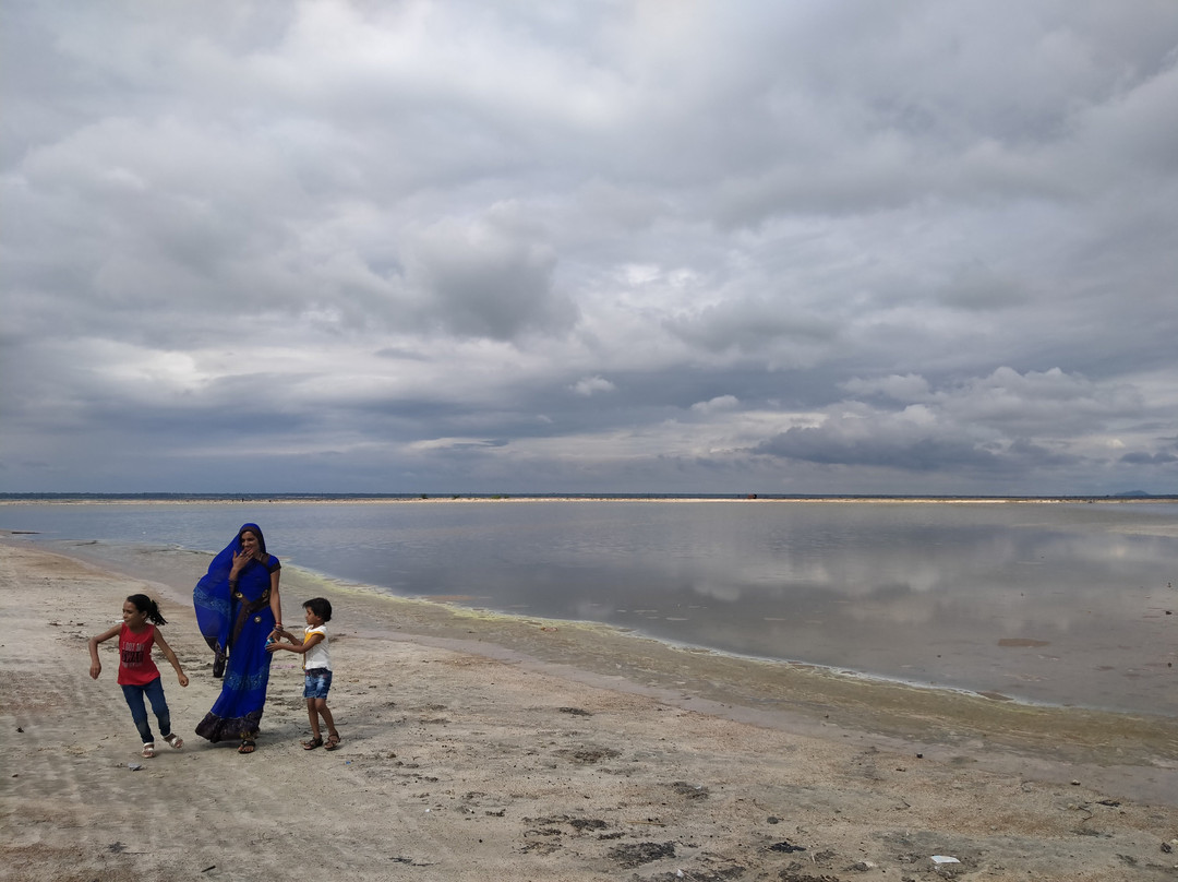 Sambhar Salt Lake-Kuchaman必去景点