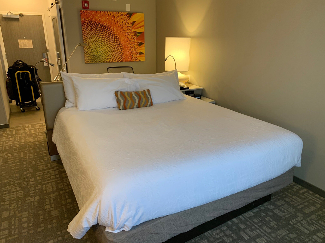 Hilton Garden Inn Salina主图