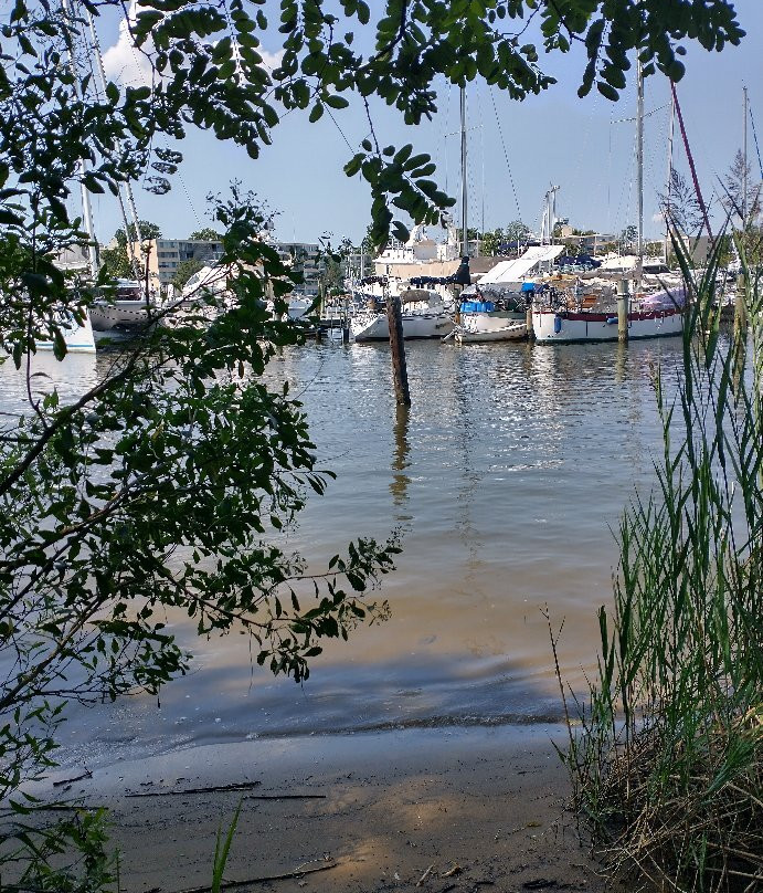 Ellen O. Moyer Nature Park at Back Creek-安纳波利斯必去景点