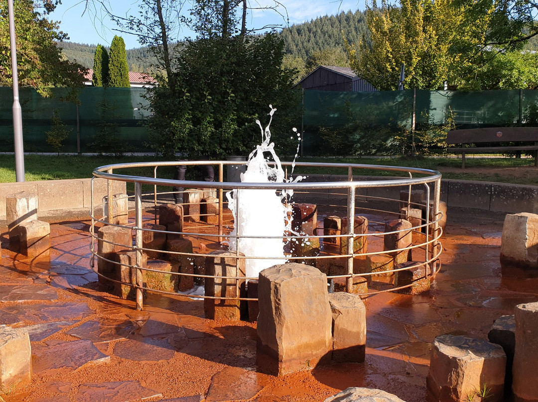 Geysir Wallende Born景点图片