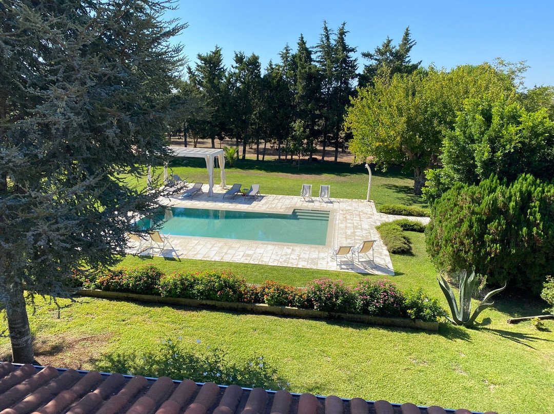 Olive Garden House主图