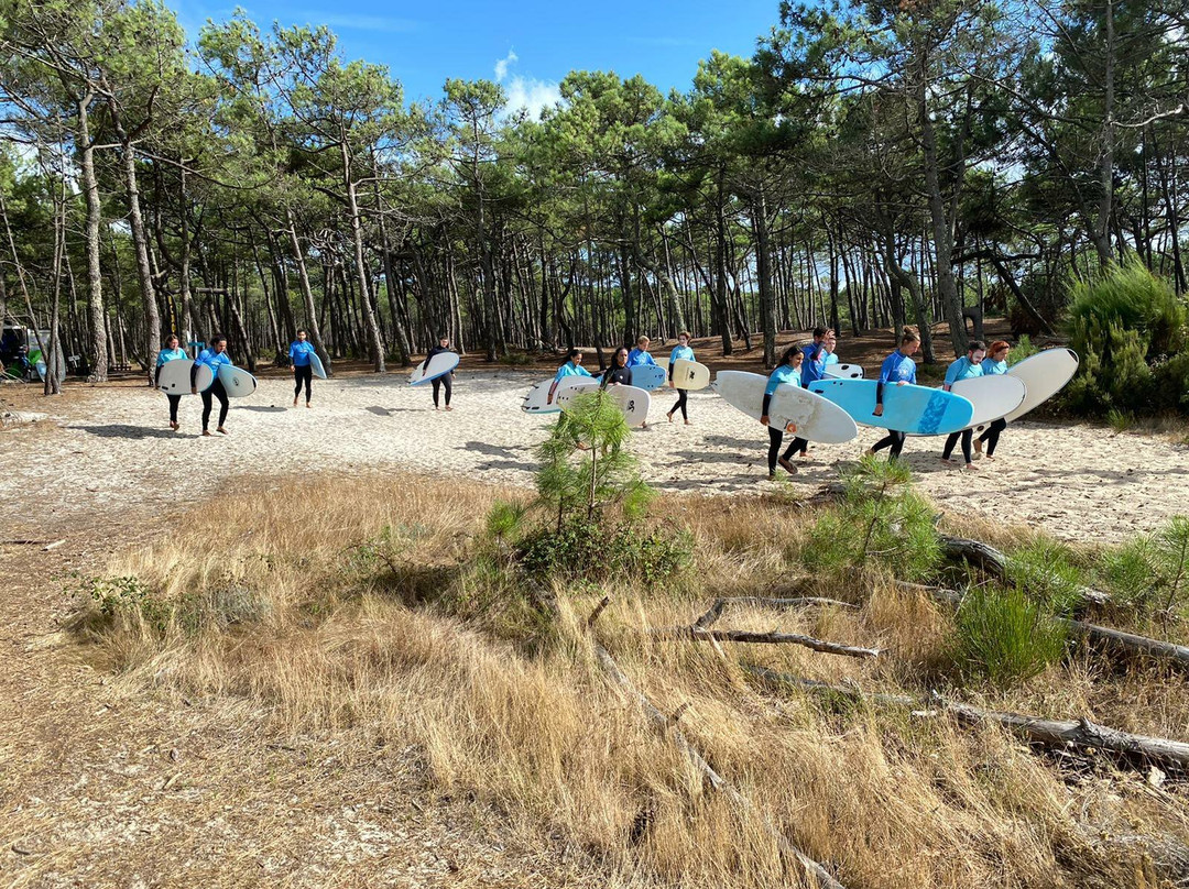 So Nice Surf School景点图片
