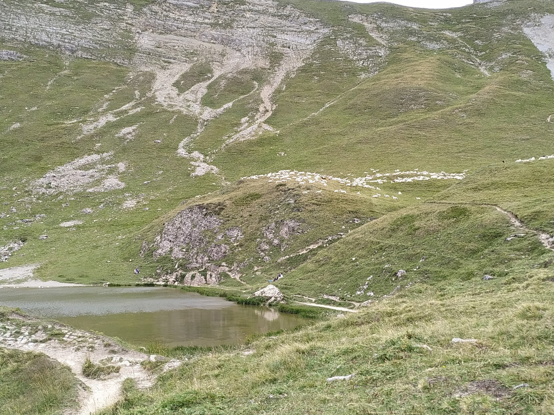 Lac de Peyre景点图片