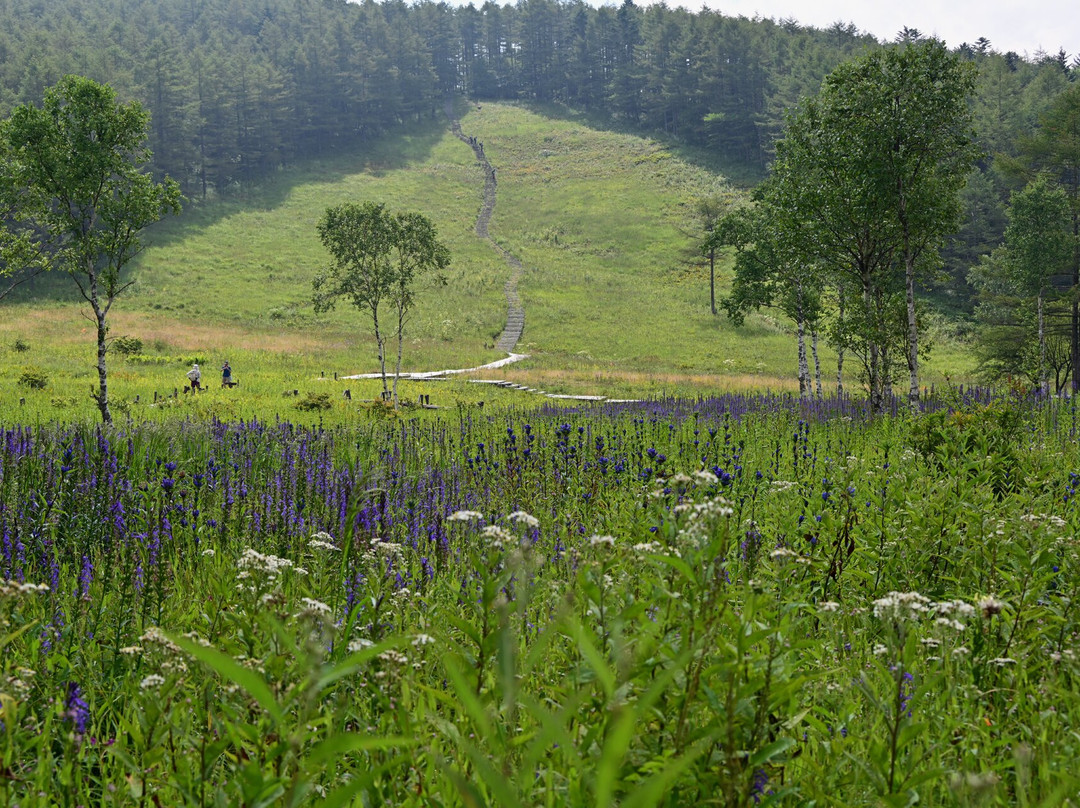 Fujimi Panorama Resort景点图片