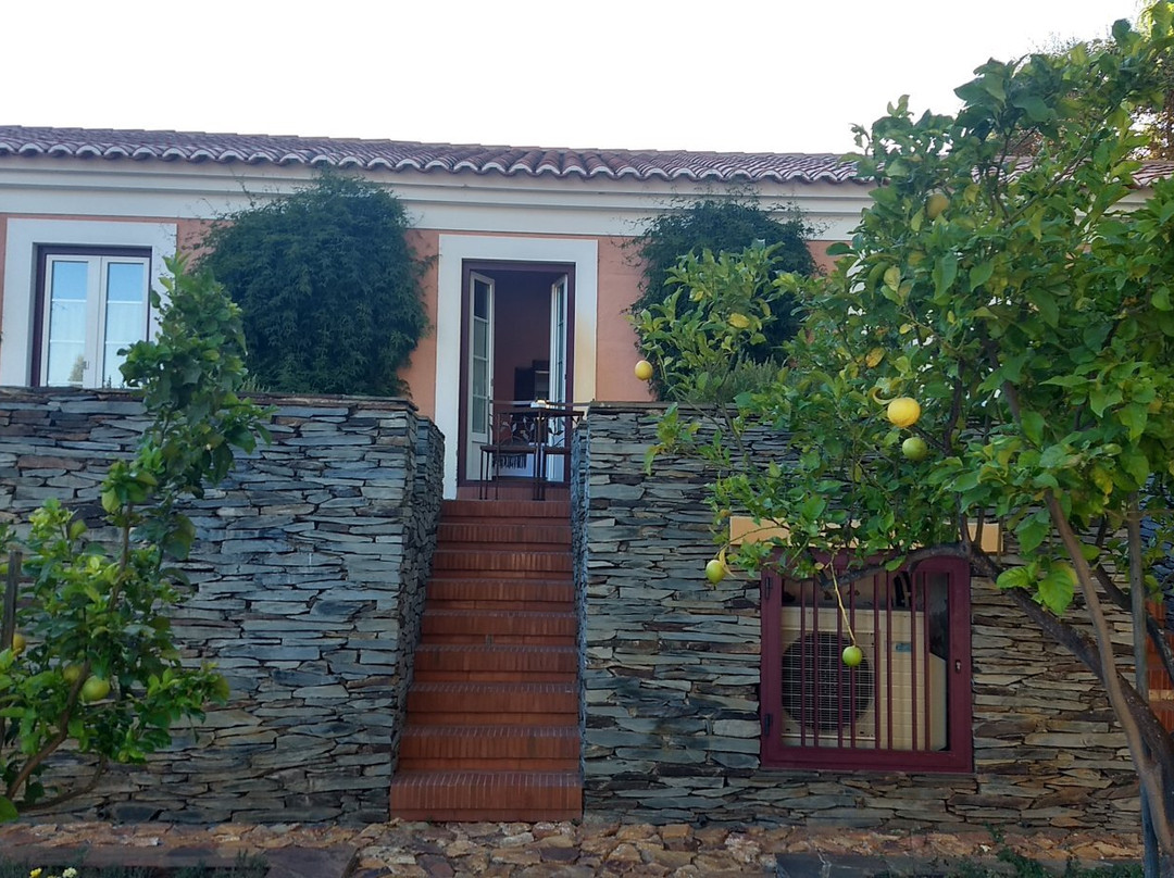 Naturarte Campo主图