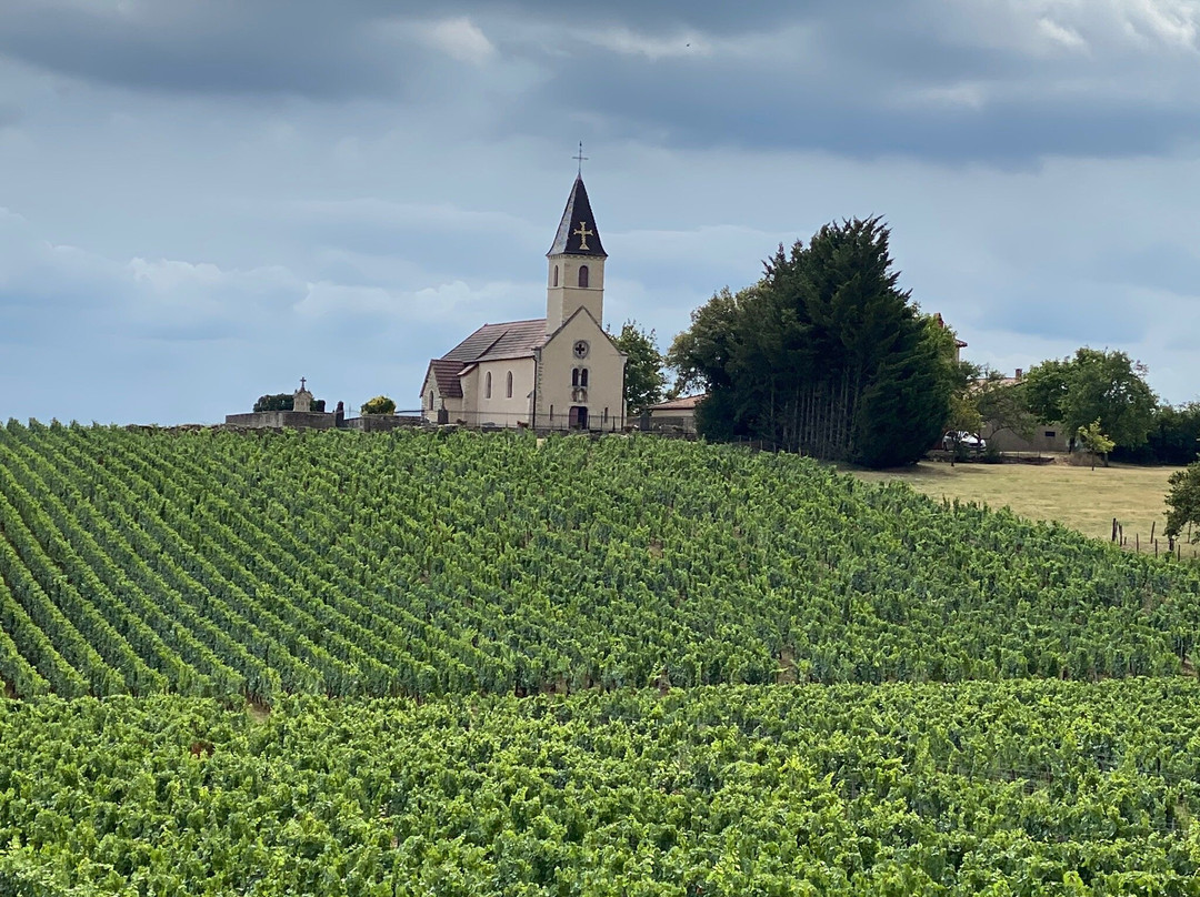 Le Clos de Clessé主图