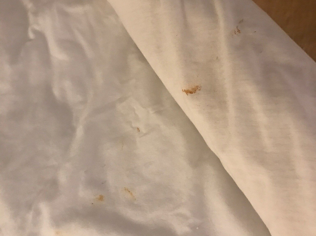 Super 8 by Wyndham Tuscola主图