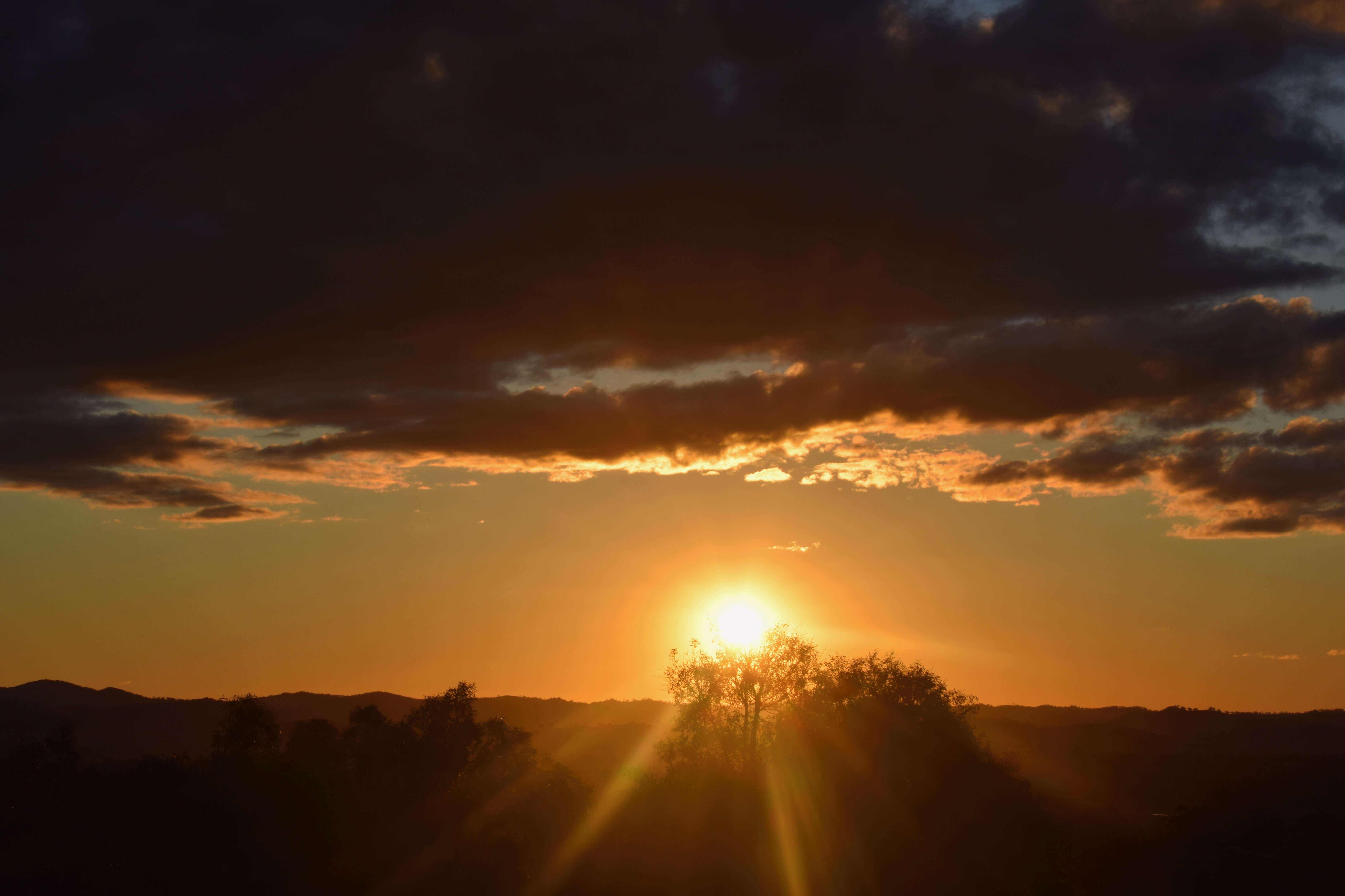 The Mudgee Homestead Guesthouse-酒店景观