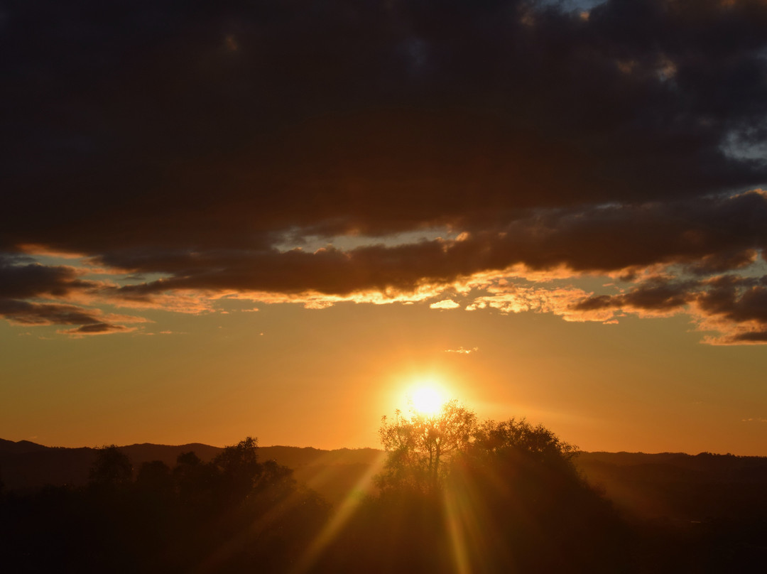 The Mudgee Homestead Guesthouse主图