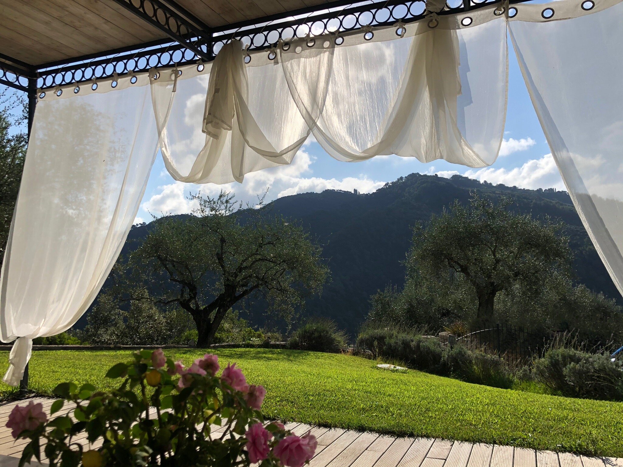 La Cicala Stonata-官方