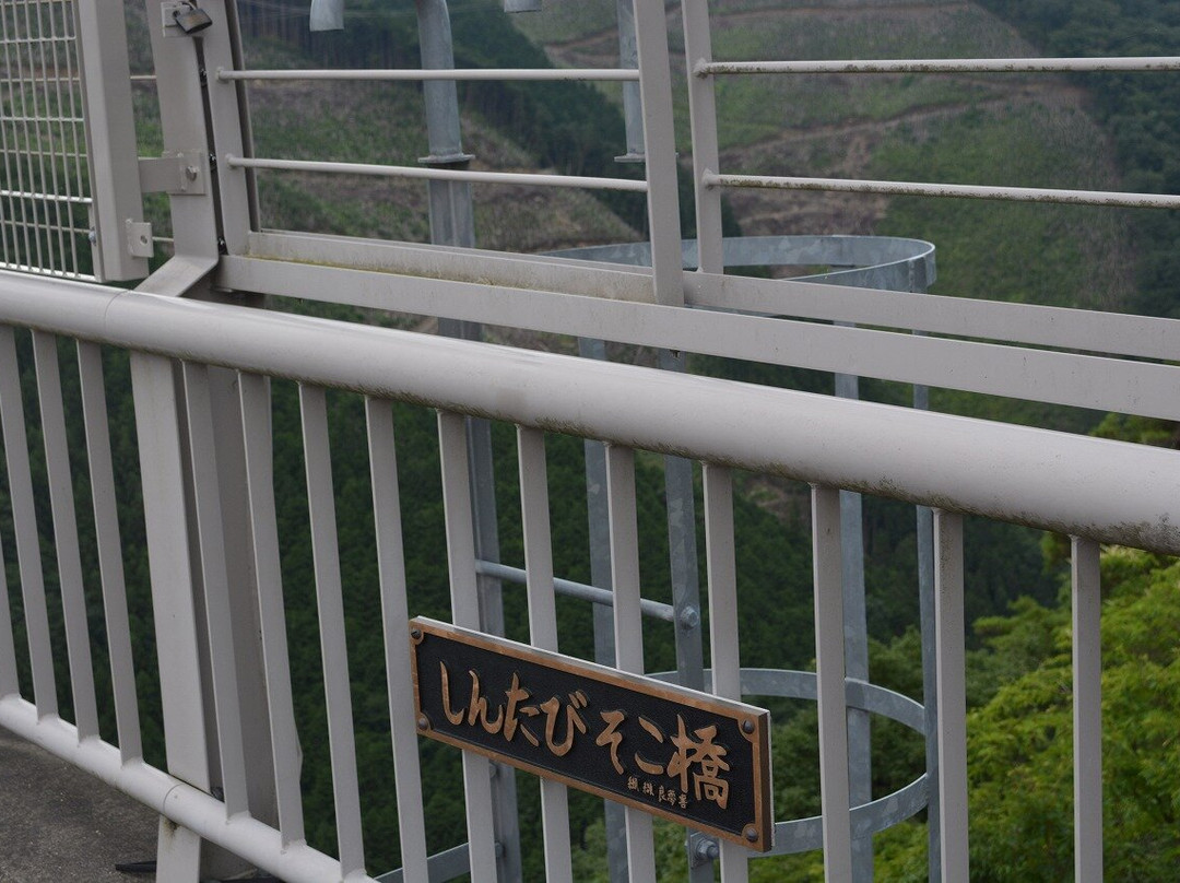 Shintabisoko Bridge-八百津町必去景点