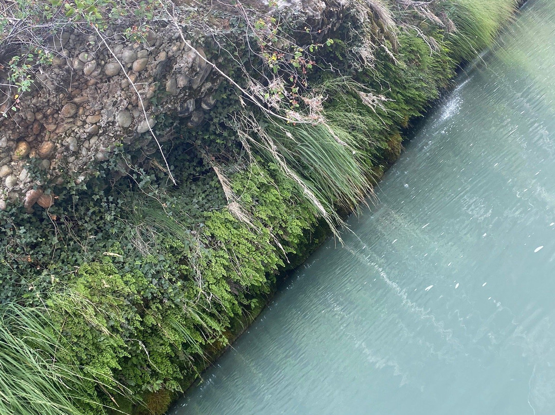 Randonnée Canoé Kayak Nature景点图片