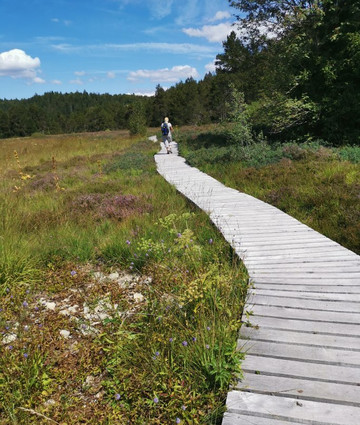 La tourbiére de Prénovel-Prenovel必去景点