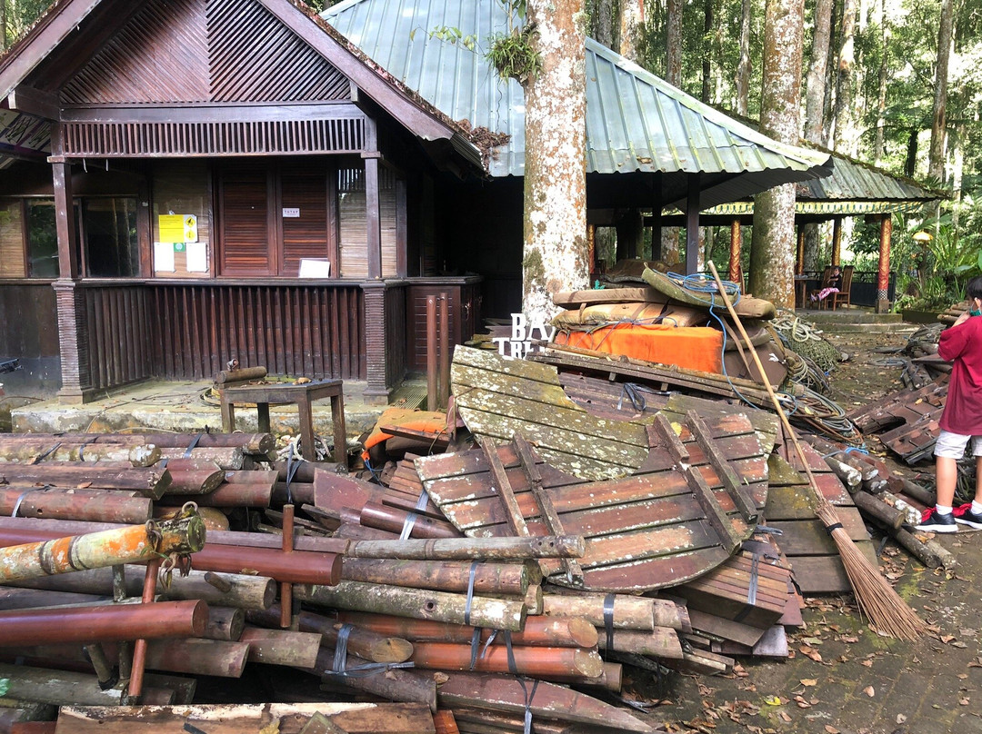 巴厘岛树顶冒险公园景点图片