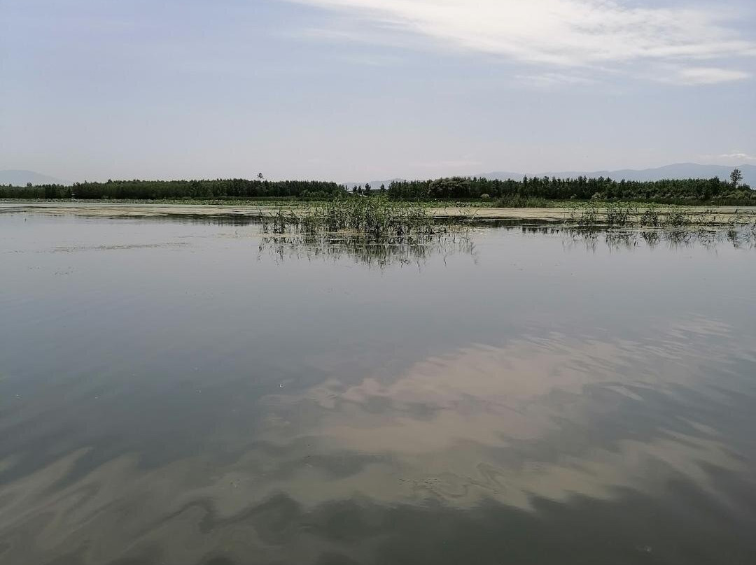 Abkenar Swamp景点图片