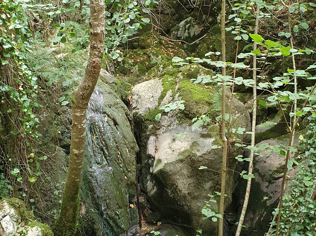 Ruta del Beyu Pen-Amieva必去景点