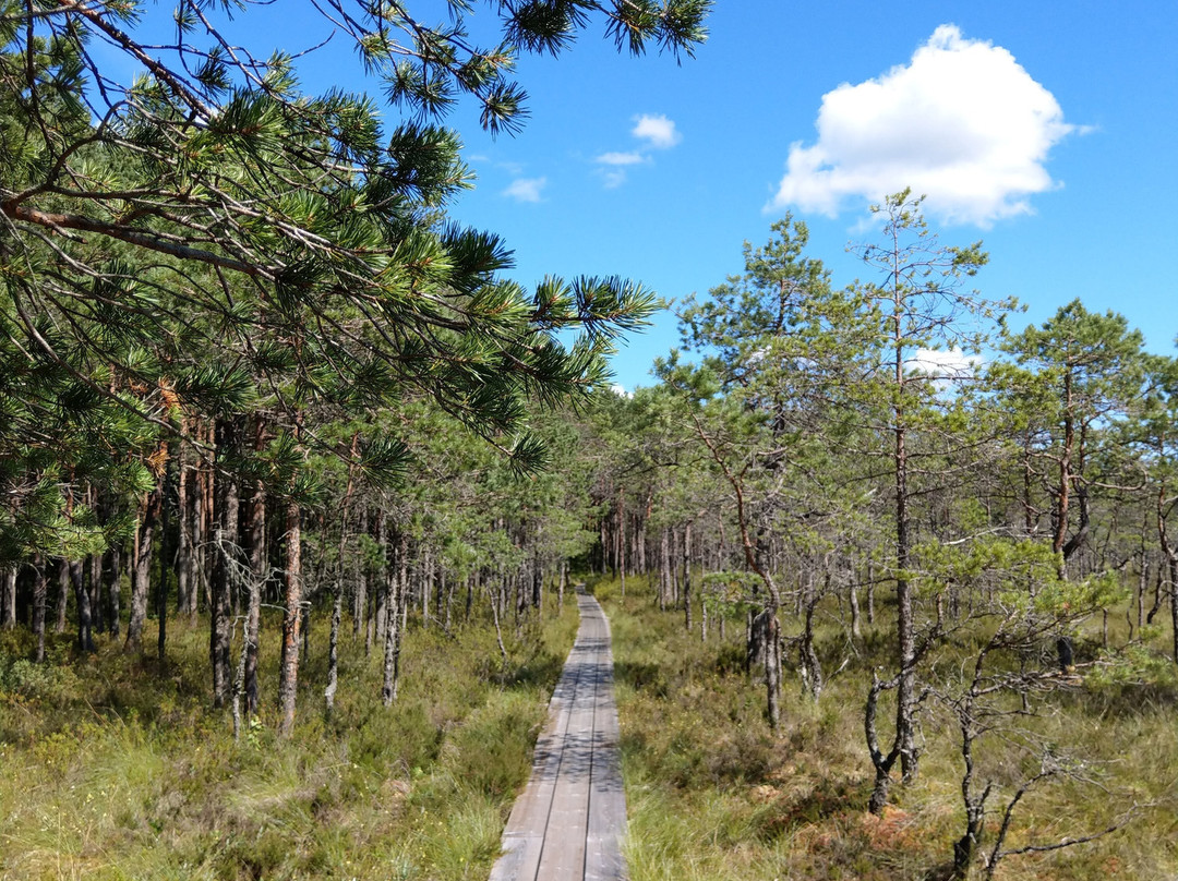 Soomaa National Park-维尔扬迪必去景点